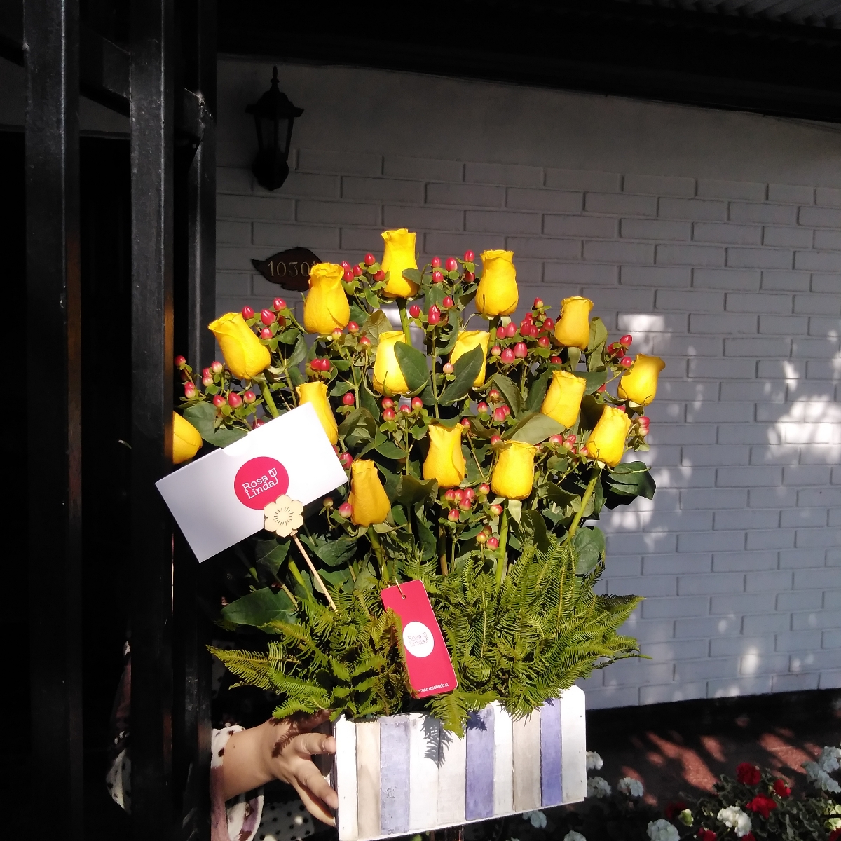 Jardín de Rosas Amarillo - Arreglo floral con 16 rosas amarillas e hypericum rojo - Pedido 243231
