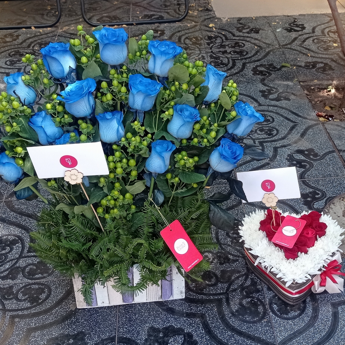 Jardín de Rosas Azules - Arreglo floral con 16 rosas azules e hypericum verde - Pedido 243919