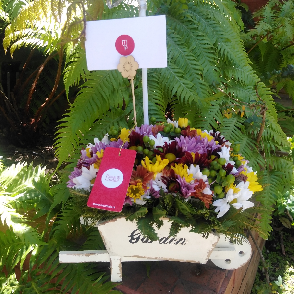 Jardín de Maules - Arreglo floral en carretilla de madera con mix multicolor de maules - Pedido 244993
