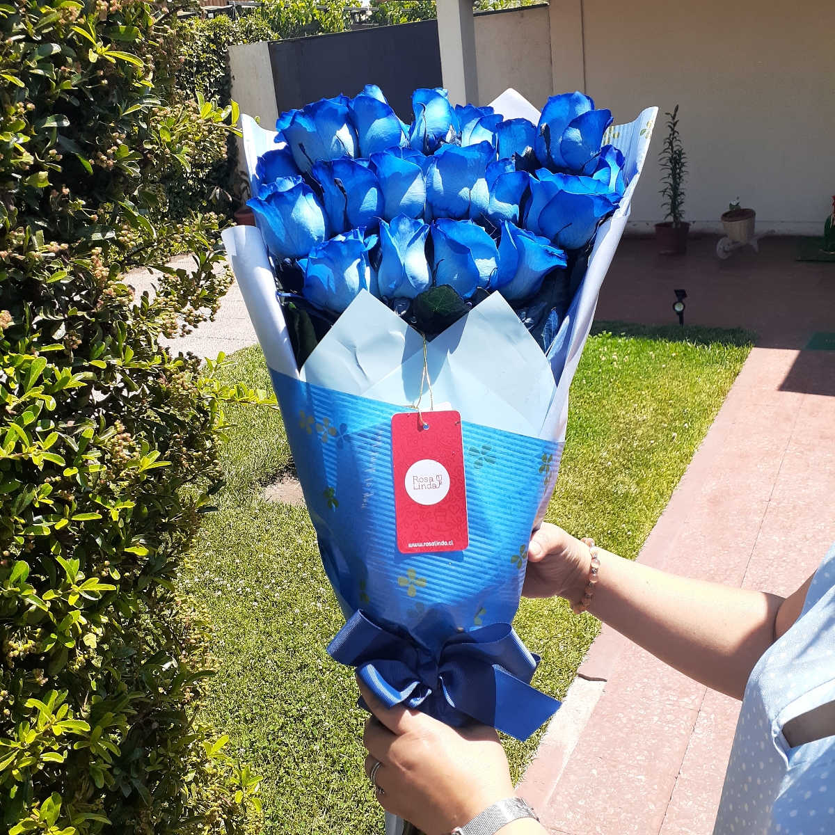 Ramo de rosas extendido con 18 rosas azules - Pedido 245074