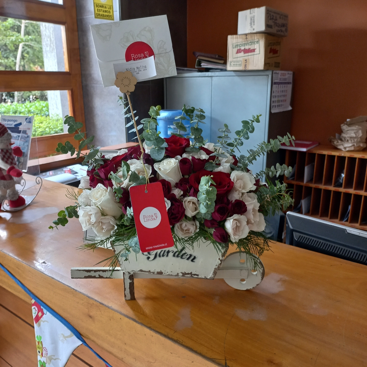 Amanecer Jardín Rojo - Arreglo floral en carretilla de madera con minirosas rojas y blancas - Pedido 247086