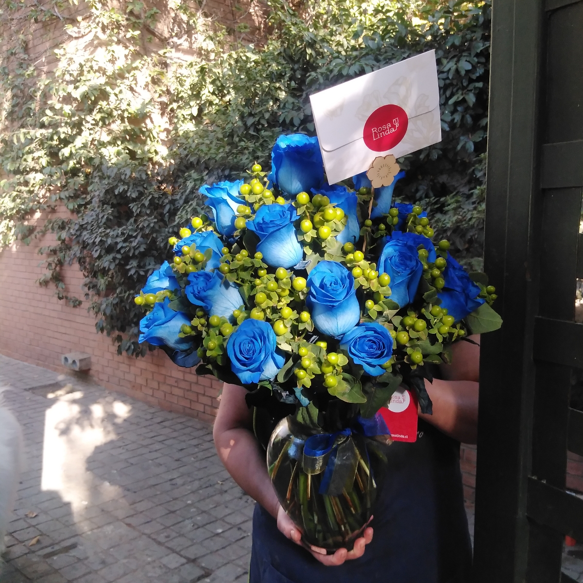 Antonia Azul - Arreglo floral en florero con 24 rosas azules e hypericum verde - Pedido 247207
