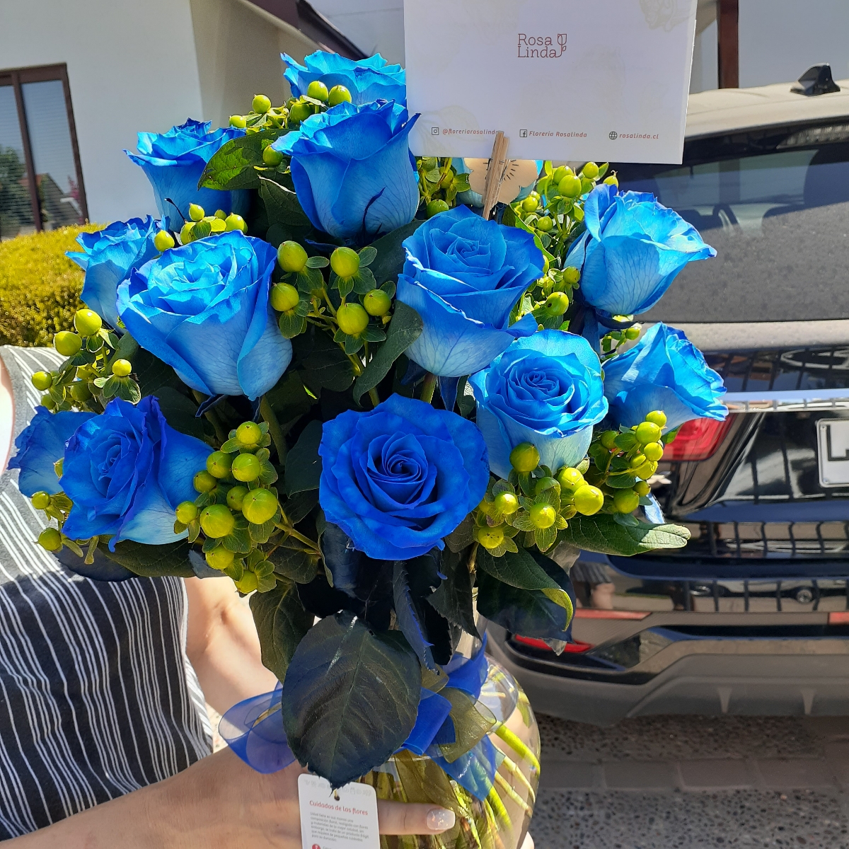Antonia Azul - Arreglo floral en florero con 24 rosas azules e hypericum verde - Pedido 247795