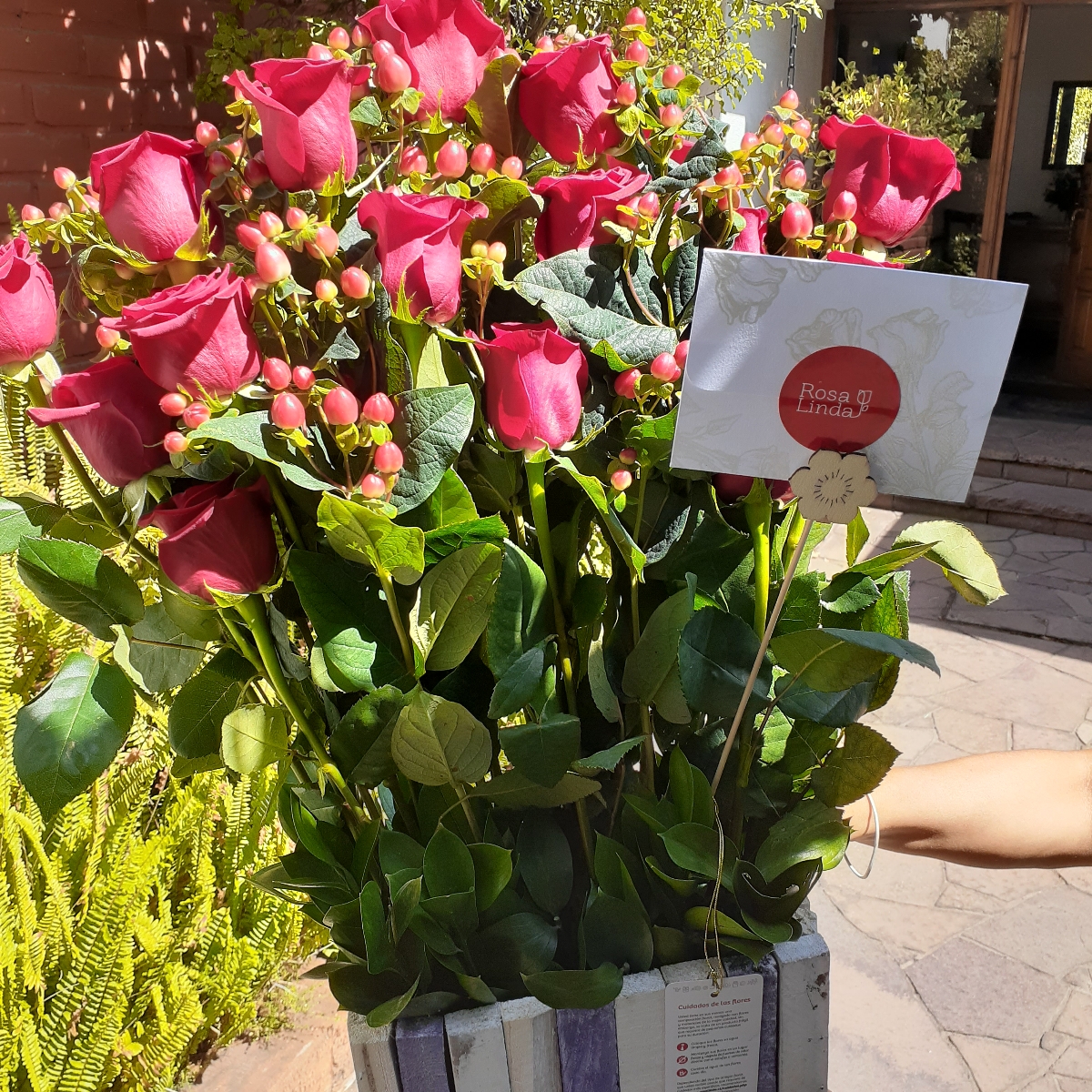 Jardín de Rosas Rojas - Arreglo floral con 16 rosas rojas e hypericum rojo - Pedido 247844