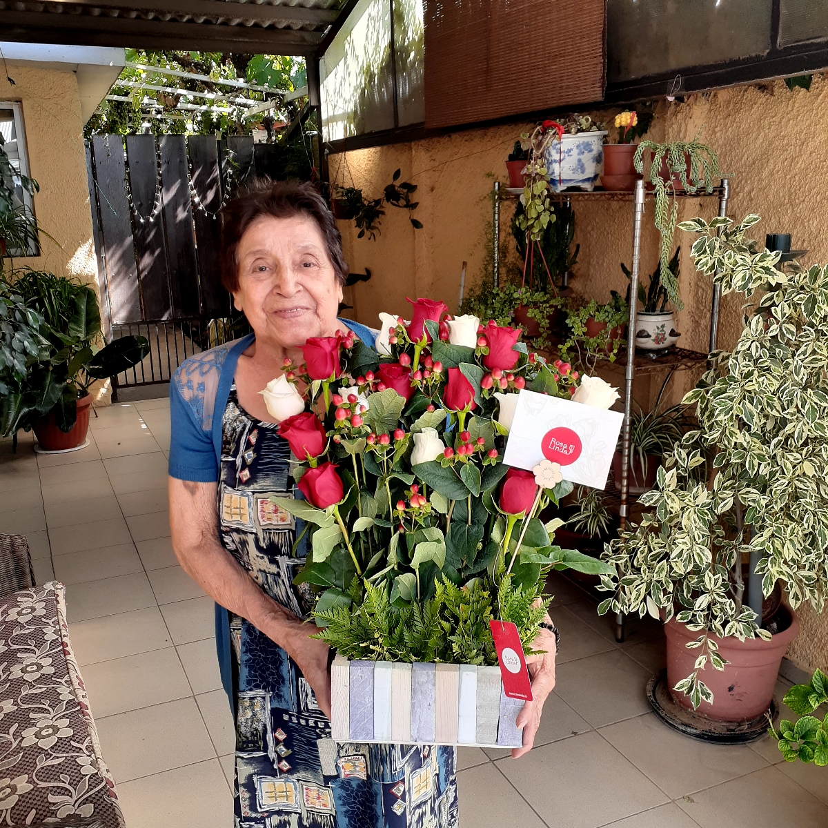 Jardín de Rosas Mix Blanco/Rojo - Arreglo floral con 16 rosas rojas y blancas e hypericum rojo - Pedido 248468