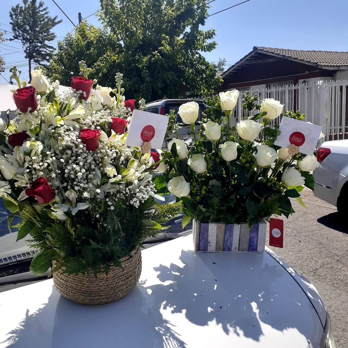 Jardín de Rosas Blanco - Arreglo floral con 16 rosas blancas e hypericum verde - Pedido 248939