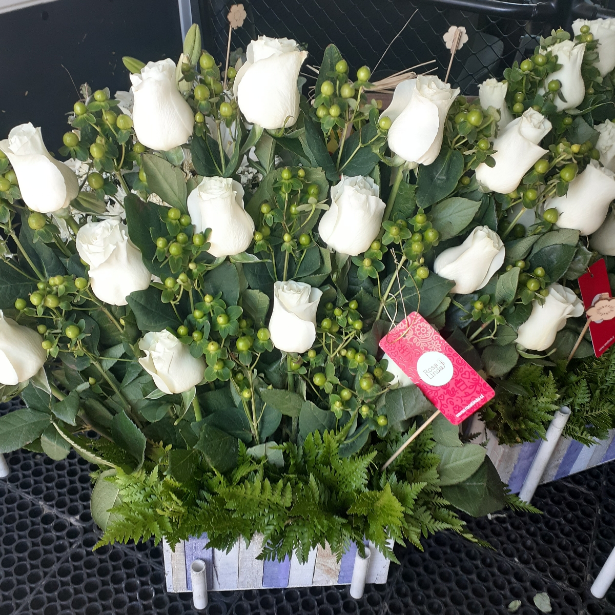 Jardín de Rosas Blanco - Arreglo floral con 16 rosas blancas e hypericum verde - Pedido 248984